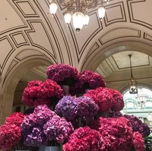 Meet your Posher, Rama